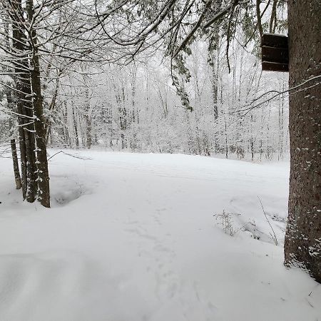 Ski In/Out Spruce Glen Townhomes On Great Eastern Trail Killington Exterior photo